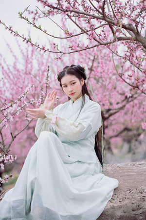 仙人掌嘿呦嘿呦